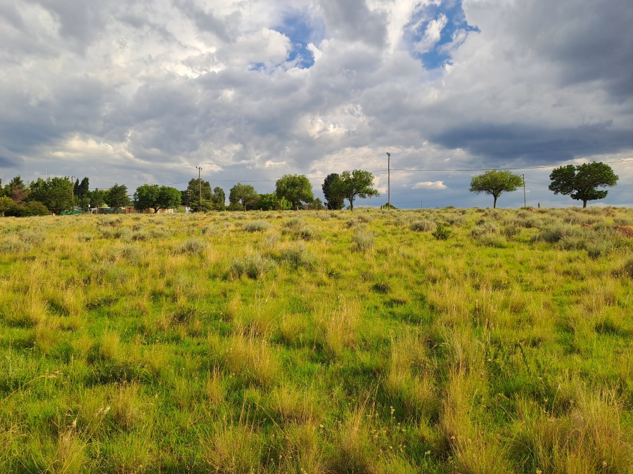 0 Bedroom Property for Sale in Rosendal Free State